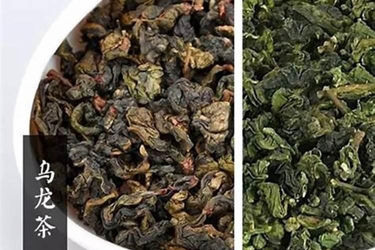 乌龙茶是什么茶？有什么功效