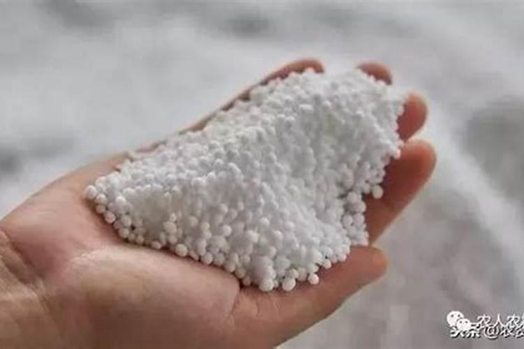 硝态氮和铵态氮的区别