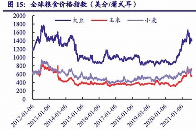 丝瓜侧枝不走怎么办