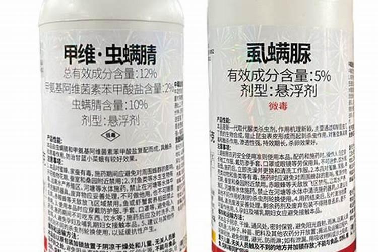 柑橘树怎么在花盆养