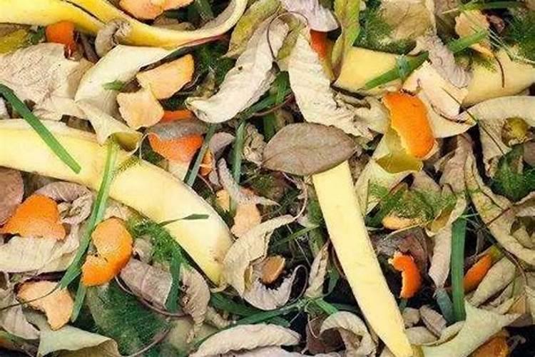 烂菜叶烂扔到菜地里能当肥料吗