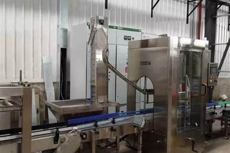 兰花如何施肥比较简单