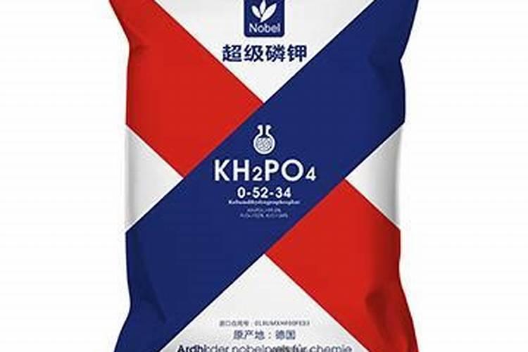 什么肥能促进根的生长