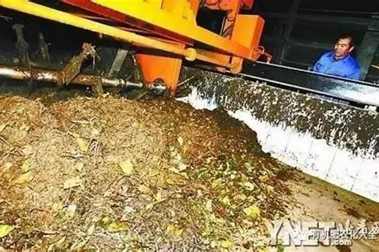 树叶可以发酵做肥料 怎么制作呢