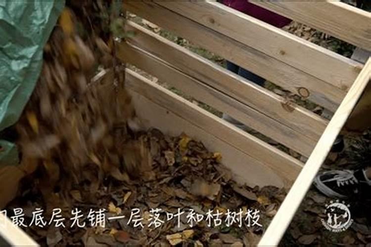 怎么用树叶发酵肥料