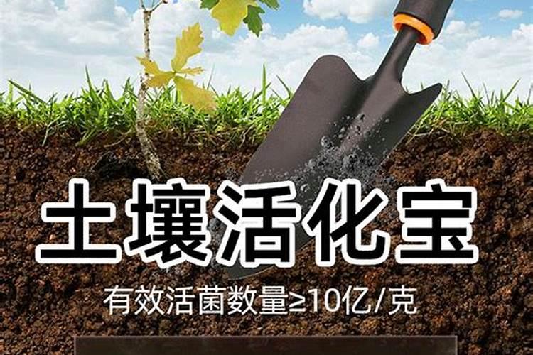 湖北土辣椒是什么品种