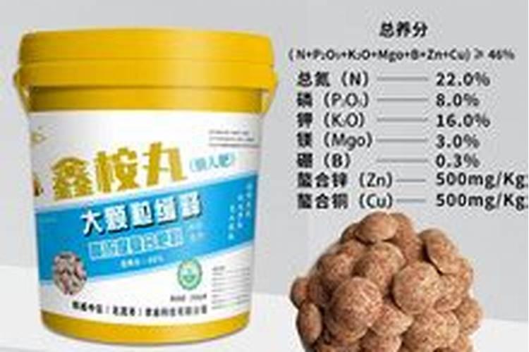 茶树幼龄期的定型修剪