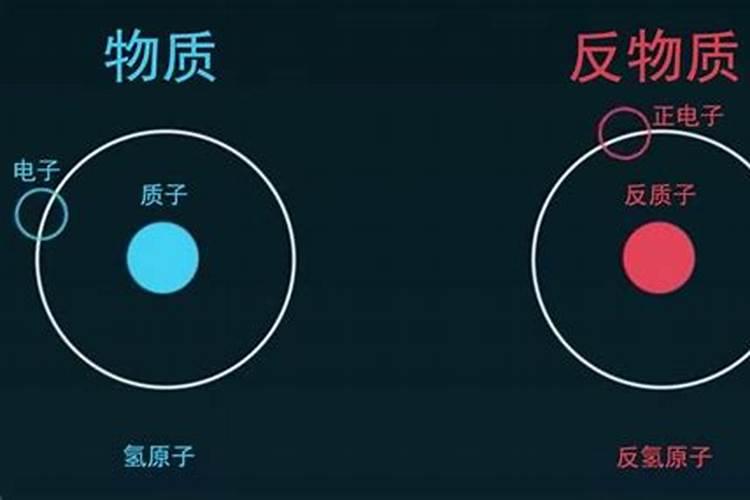 黄金奇异果和绿心的有什么区别