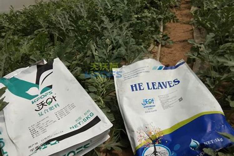 水溶肥一般几天见效