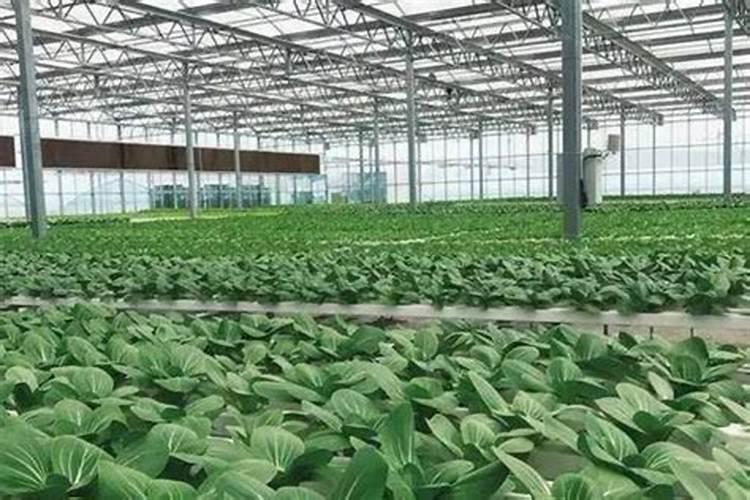 妇科凝胶哪个牌子的比较好？