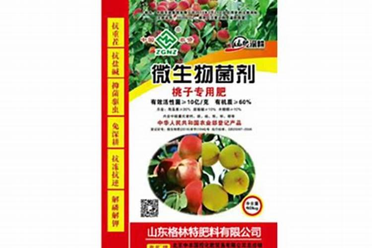 哈密瓜膨大期用什么肥料？
