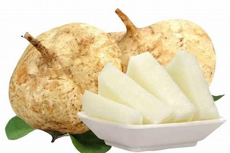 白地瓜的种植方法和时间