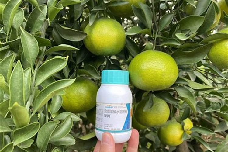 中元水溶肥500升兑300公斤水的剂量会造成药害吗？