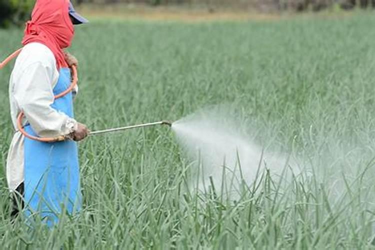 青岛佰世旺中微肥料厂怎么样