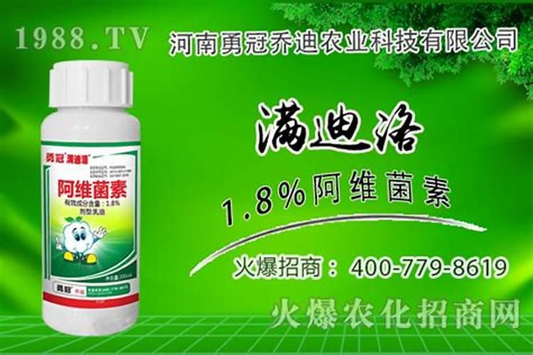 阿维菌素不能和什么药一起用