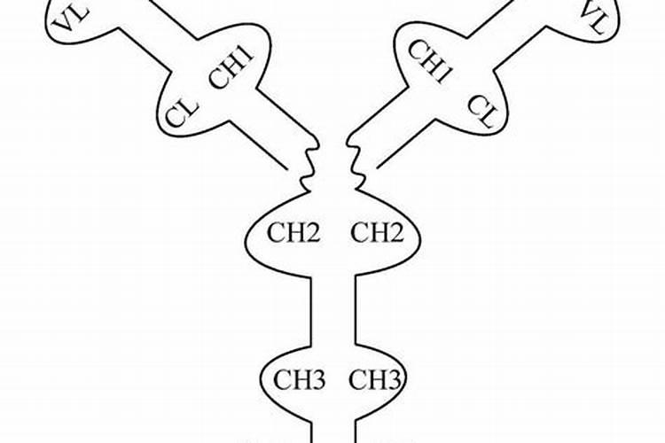 生根肥料有哪些