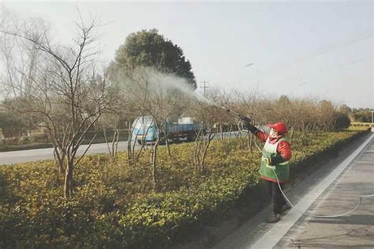 打石硫合剂能不能带上叶面肥？