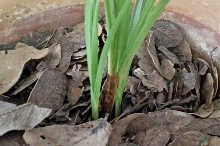 路演预告 【向市果】系列项目路演·网络与信息安全技术专场