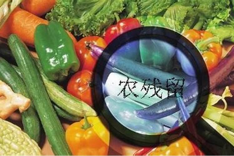 放什么肥料蔬菜才好吃