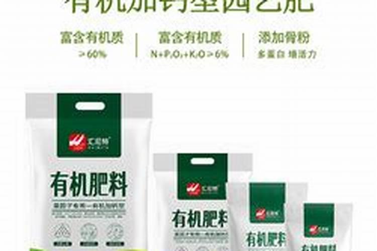 奶奶太“抠门”,省下钱在阳台种菜,1个月就长满阳台!