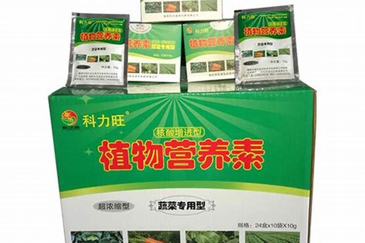 喜欢牡丹花,不用去洛阳了,只需养一盆多肉,一年四季观牡丹,是真的吗？