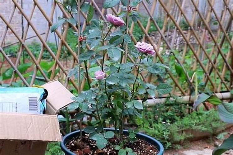 俄乌冲突下可能对俄罗斯的化肥供应产生影响,农化板块景气有望再上台阶...