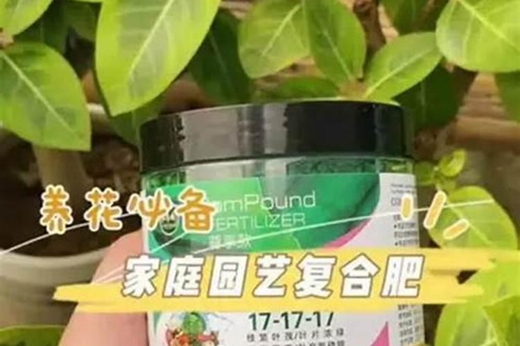 中药12味是哪12味