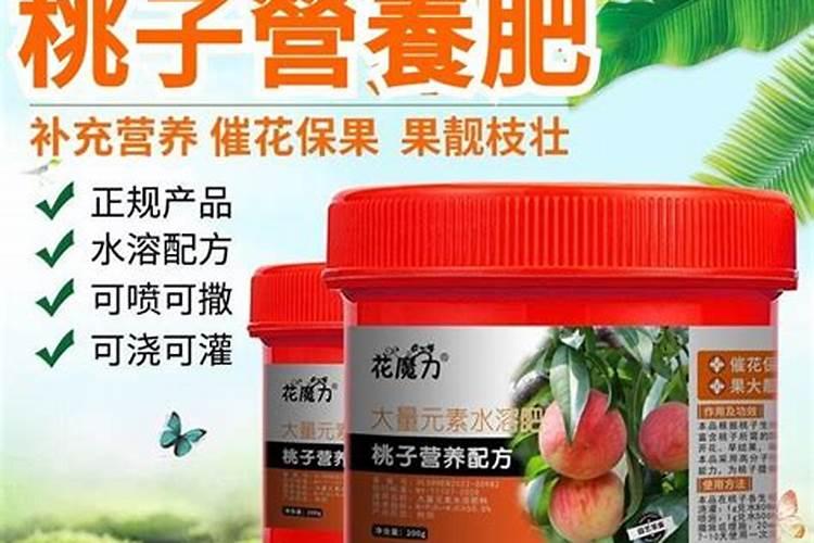 种花用什么肥料最好呢