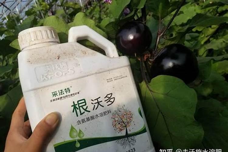 生根肥使用过程中应注意什么