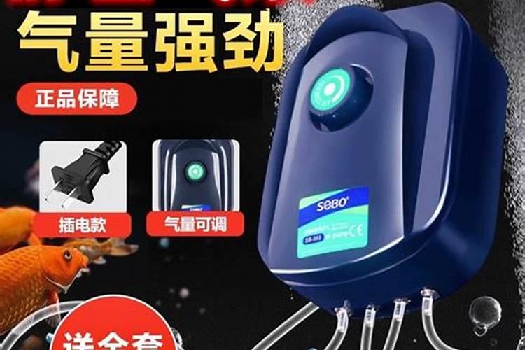 自制鱼蛋白有氨气怎么办呢