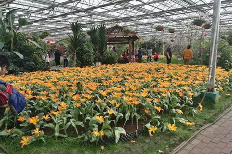 钙镁磷肥怎样用效果好 钙镁磷肥使用注意事项有哪些