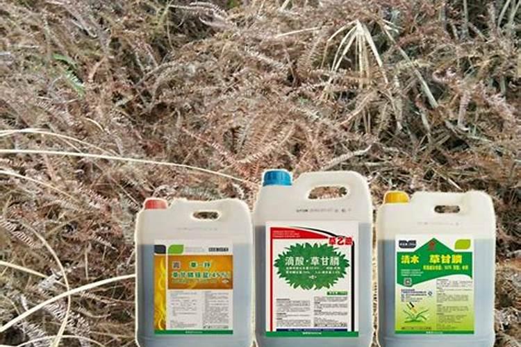玉米苗后除草剂配着叶面肥可以用吗