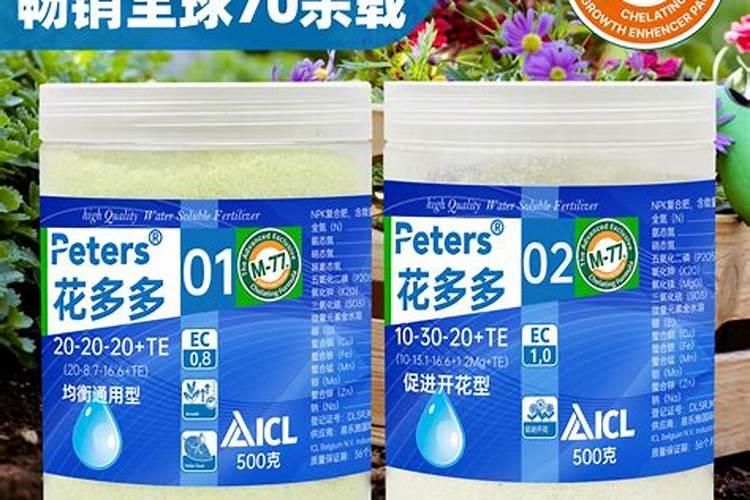 原始蓝光多肉和蓝光有什么区别？