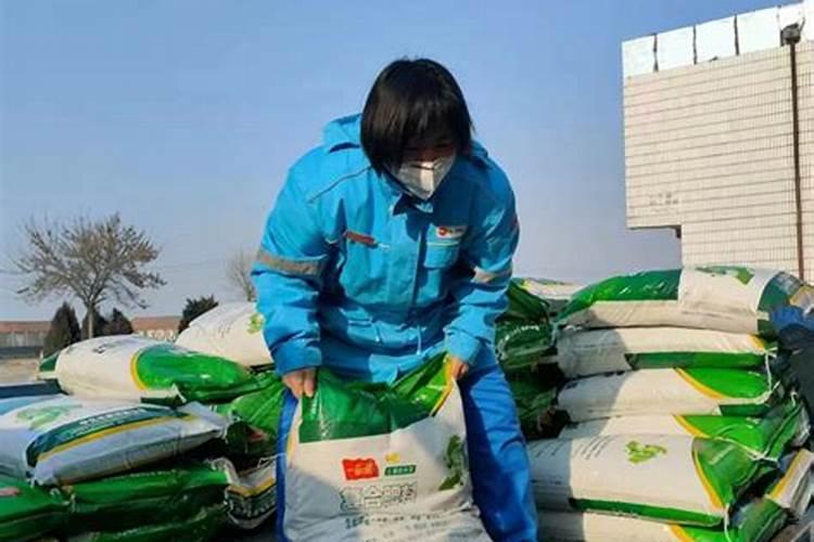 肥料三证是哪三证