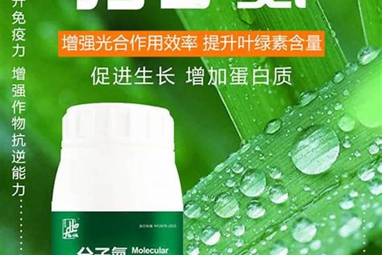 什么是氨氮？水产养殖氨氮产生、超标危害及检测控制