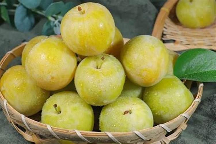 钾肥最高含量是多少