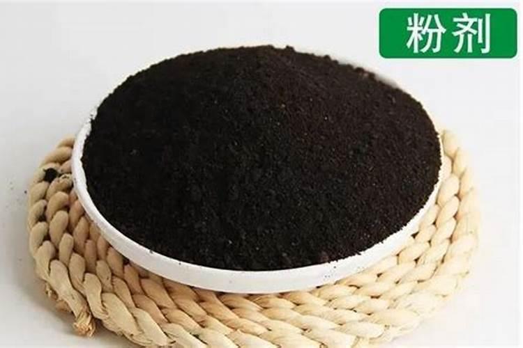 发财树浇什么肥料可枝叶旺盛