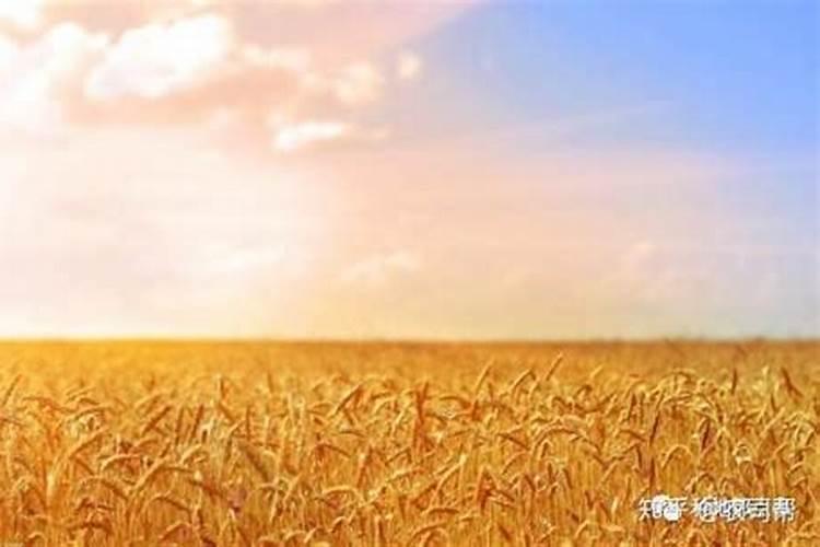 中国十大水溶肥料品牌