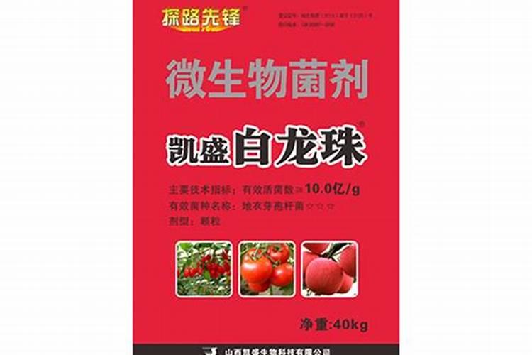 土豆追肥用什么肥料 种土豆怎么施肥