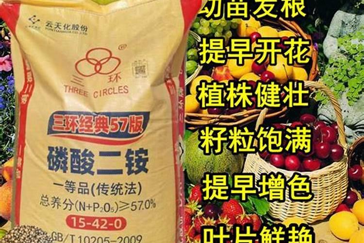 白菜腐烂病用什么药治