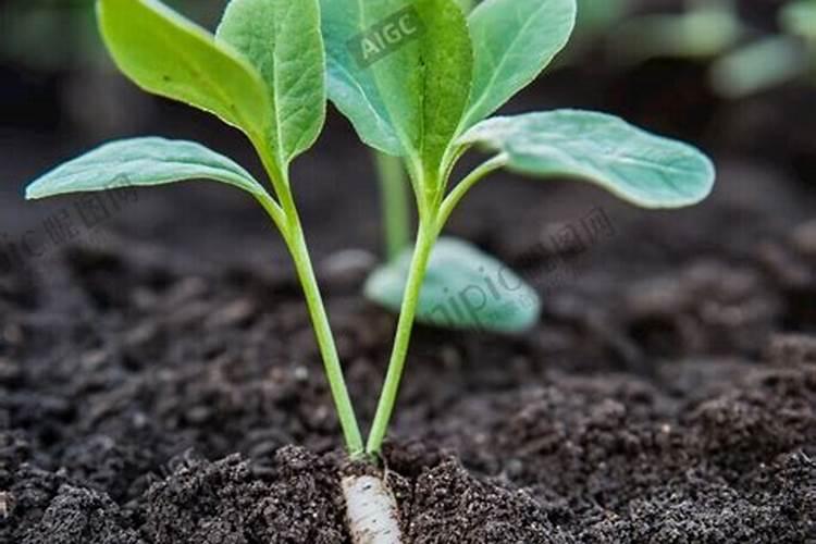 氮磷钾肥中氮多会抑制什么元素,磷肥多会抑制什么原素、