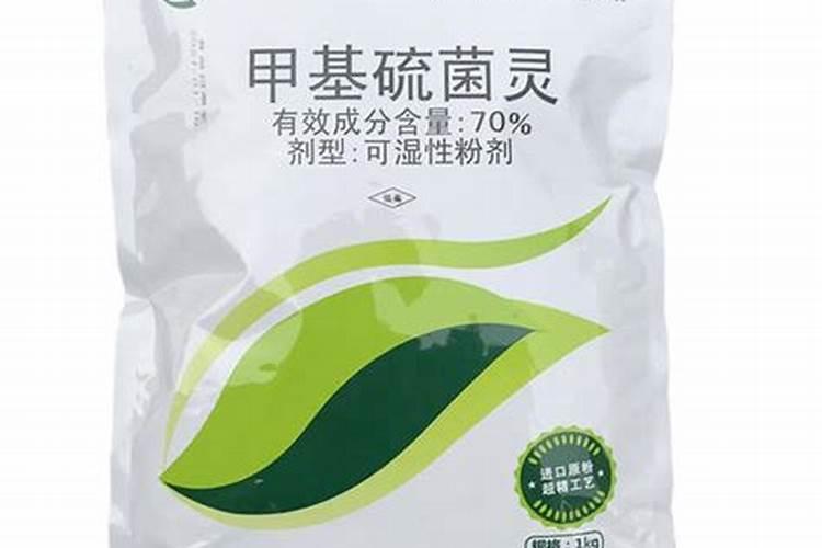 樱桃树被水淹后,叶子发蔫,怎么办？