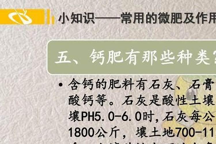 硫酸钾属于什么肥