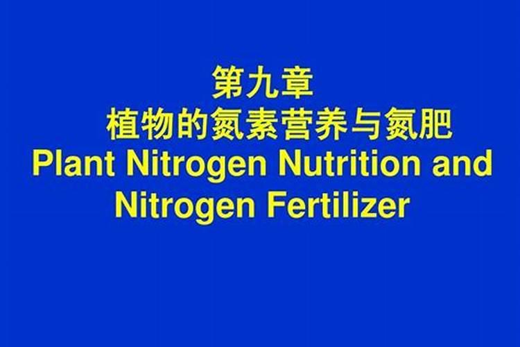 速效氮肥有哪些