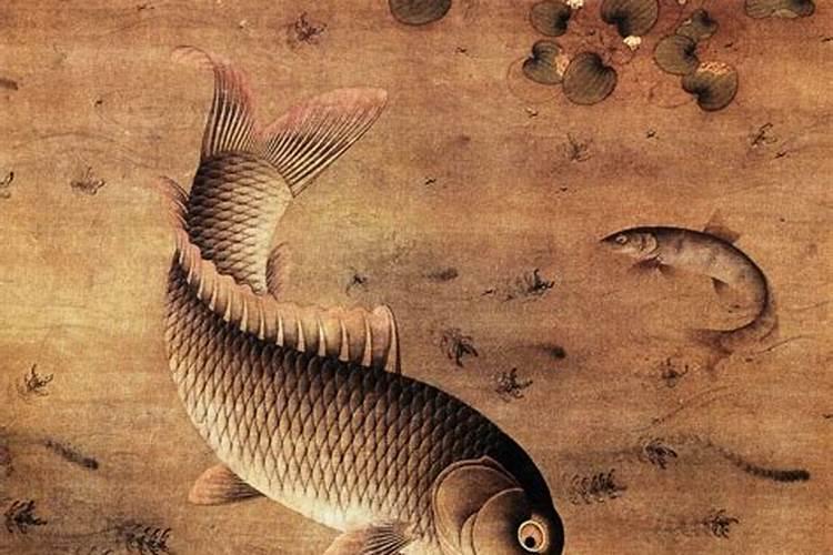 草莓生根壮苗的水溶肥有几种？