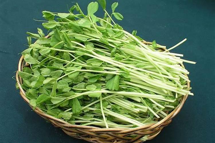 白芸豆高产方法怎么让白芸豆高产