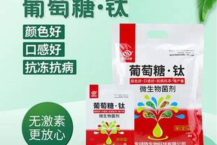 槟榔施什么钾肥才能达到高产