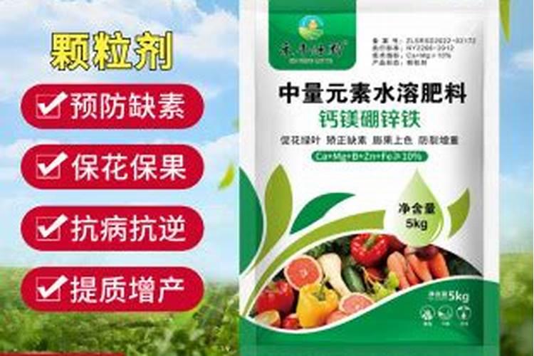 蔬菜种植补钙技巧 蔬菜种植怎么补钙