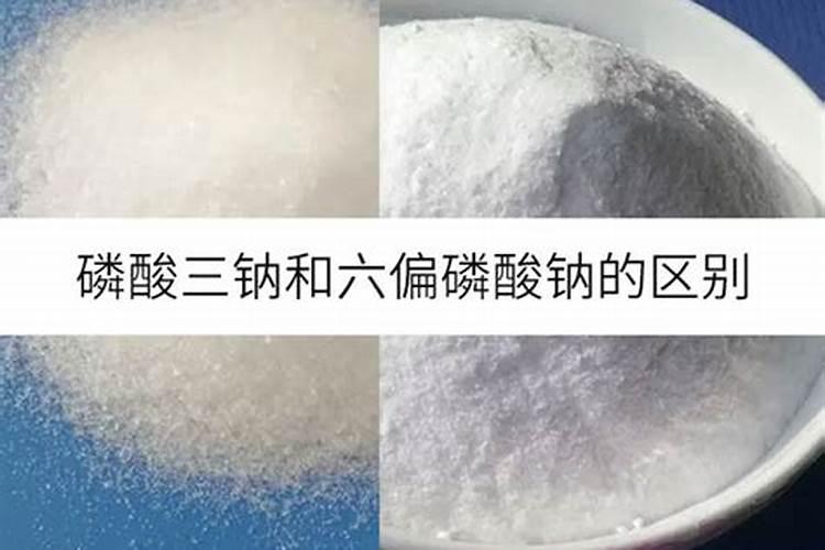 水体磷污染是如何造成的