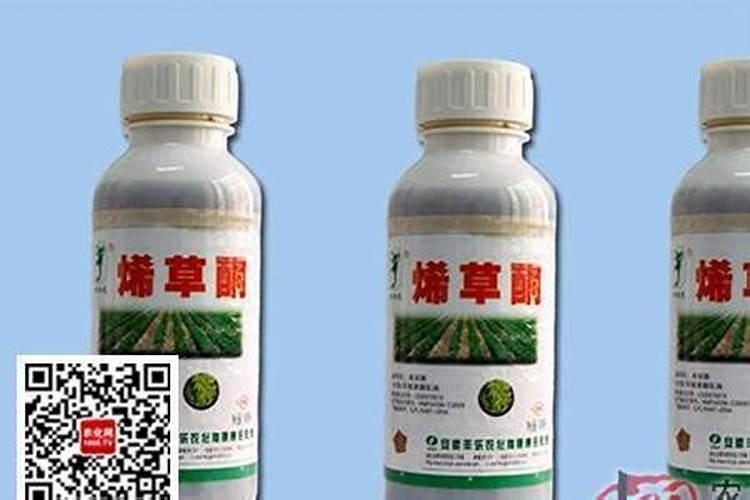 草莓专用肥是什么肥料 草莓施入氮磷钾肥的作用